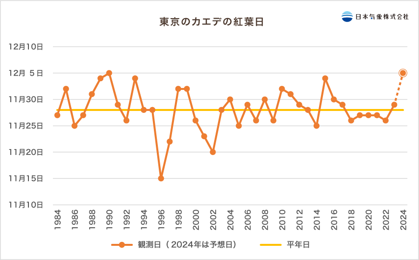 東京のモミジ・カエデの紅葉日