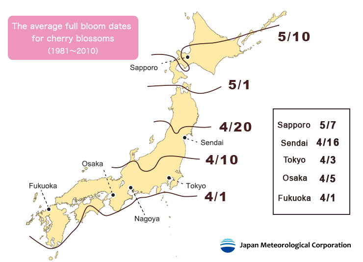 The average full bloom dates for cherry blossoms