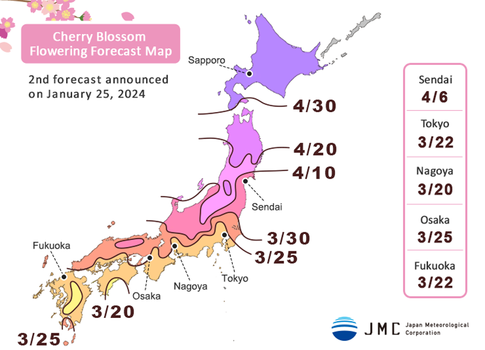 2024 Sakura Japan Cherry Blossom Forecast 2 (Updated January 25th
