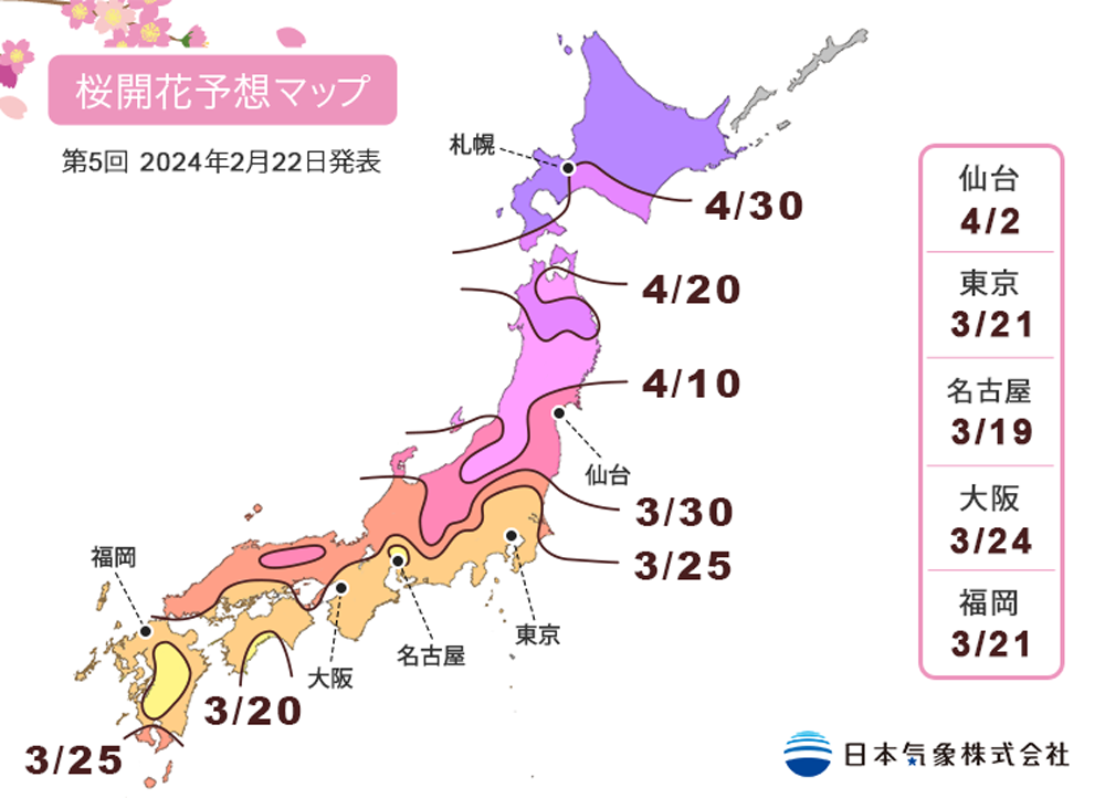 樱花预测地图