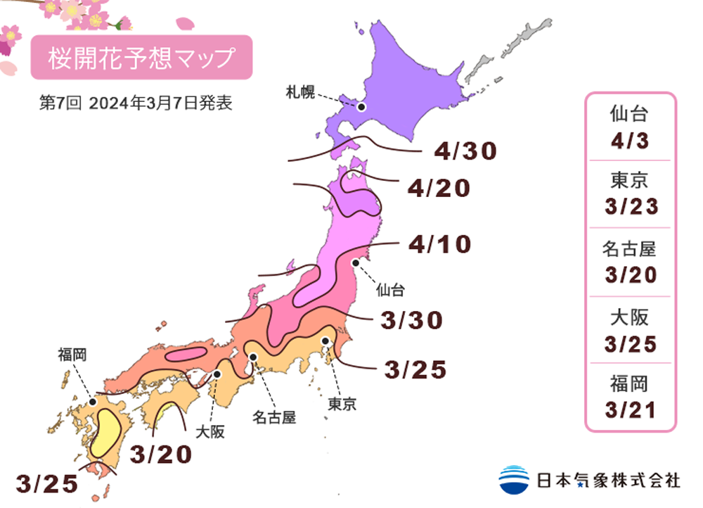 2024年第7回桜開花予想マップ