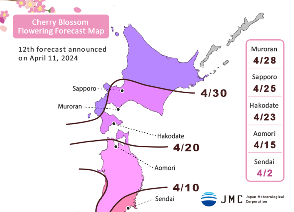 Cherry Blossom Flowering Forecast Map