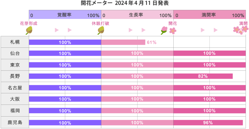 2024年第12回開花メーター