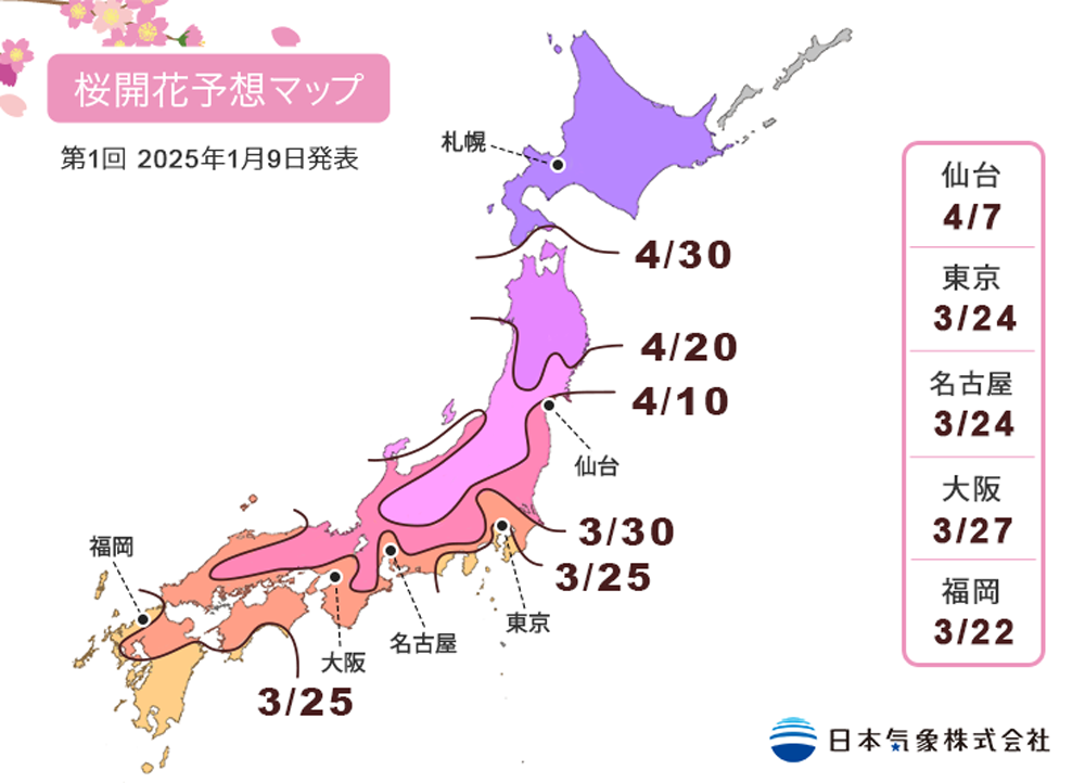 2025年第1回桜開花予想マップ