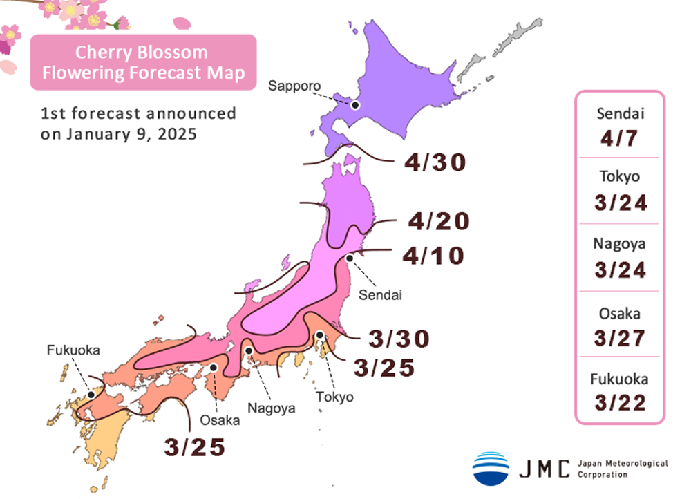 Cherry Blossom Flowering Forecast Map