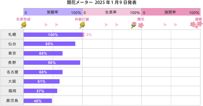 2025年第1回開花メーター