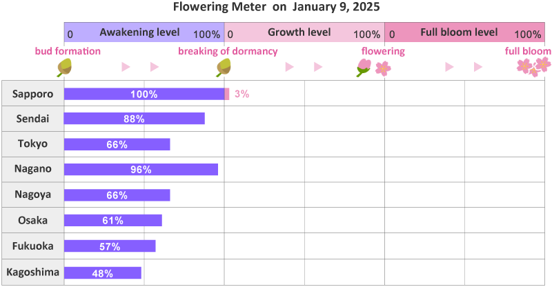 2025年第1st回開花メーター