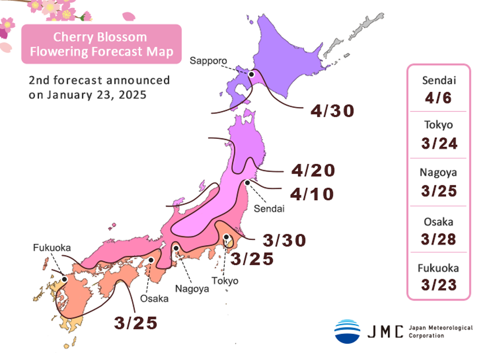 Cherry Blossom Flowering Forecast Map