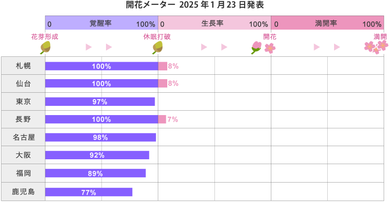 2025年第2回開花メーター