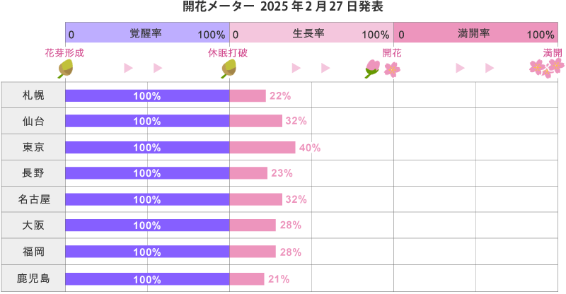 2025年第6回開花メーター