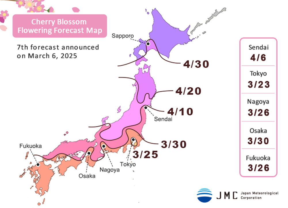 Cherry Blossom Flowering Forecast Map