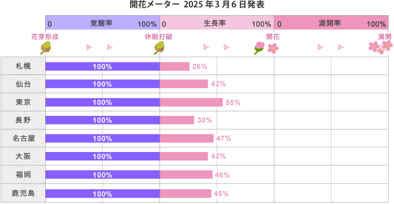 2025年第7回開花メーター