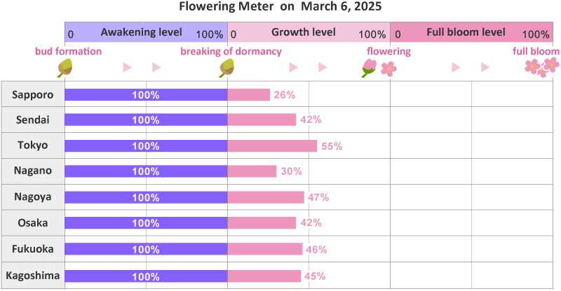 2025年第7th回開花メーター