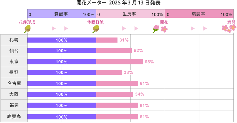 2025年第8回開花メーター