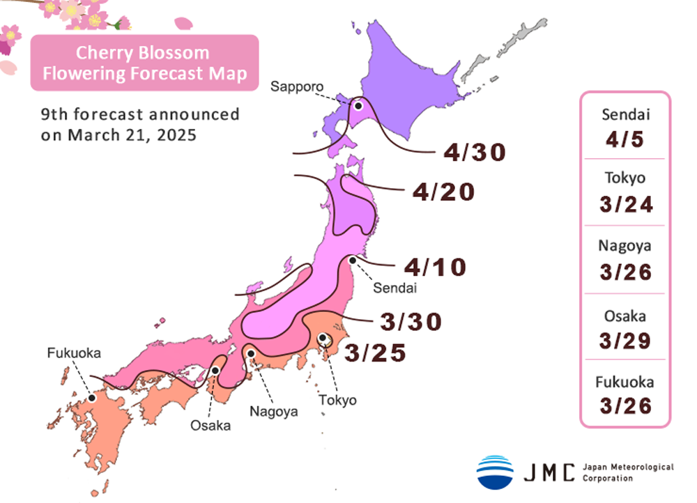 Cherry Blossom Flowering Forecast Map