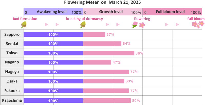 2025年第9th回開花メーター