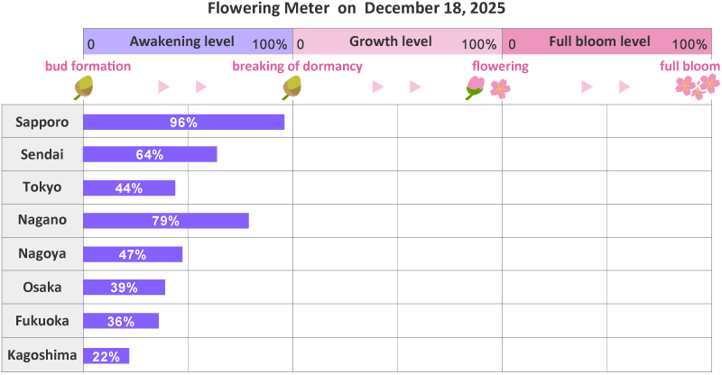 2026年第1st回開花メーター