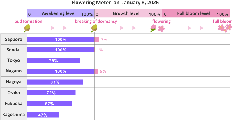 2026年第2nd回開花メーター