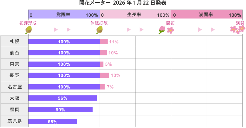 2026年第3回開花メーター