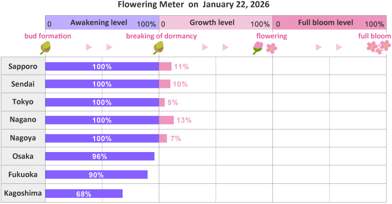 2026年第3rd回開花メーター