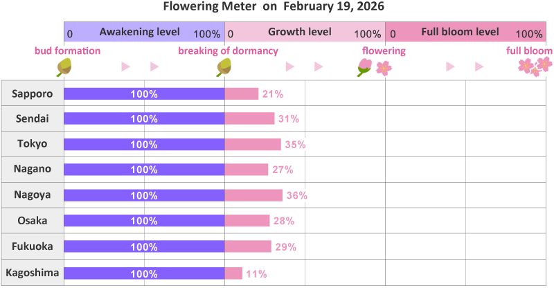 2026年第5th回開花メーター
