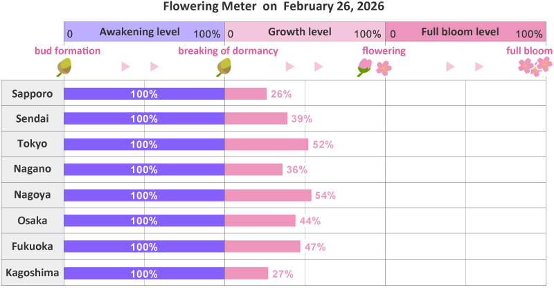 2026年第6th回開花メーター