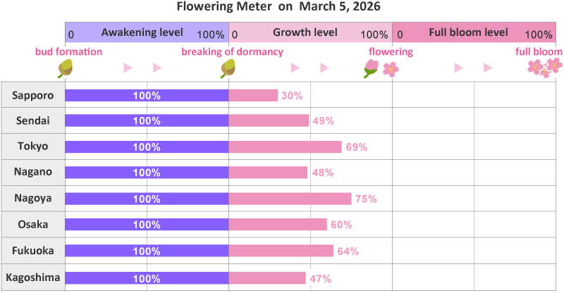 2026年第7th回開花メーター