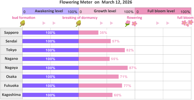 2026年第8th回開花メーター