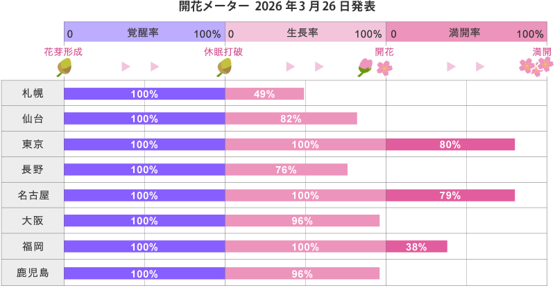2026年第10回開花メーター