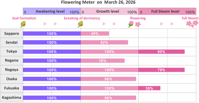 2026年第10th回開花メーター