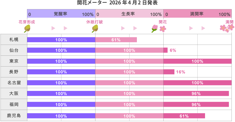 2026年第11回開花メーター