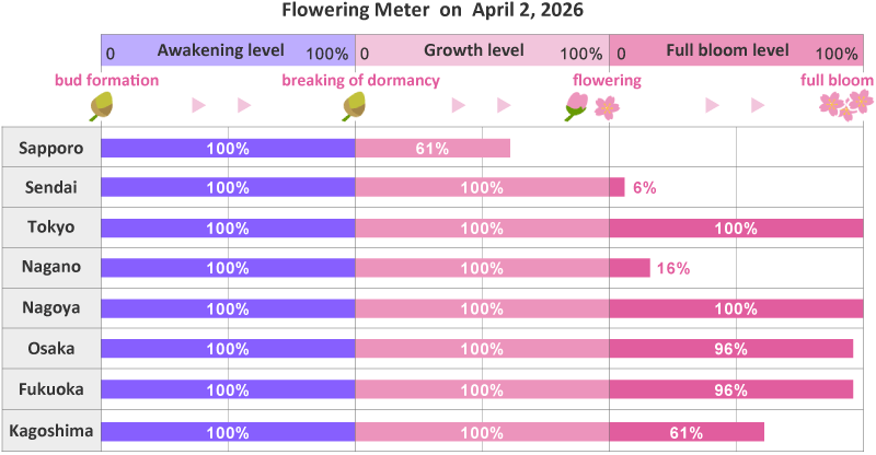 2026年第11th回開花メーター