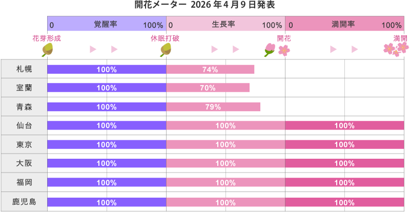 2026年第12回開花メーター