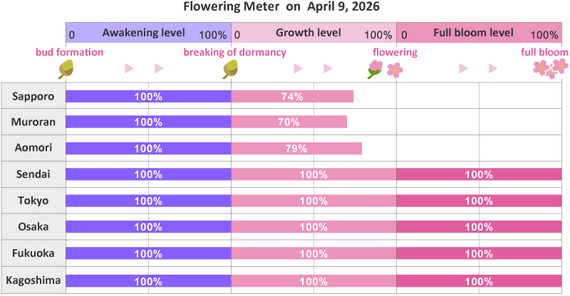 2026年第12th回開花メーター