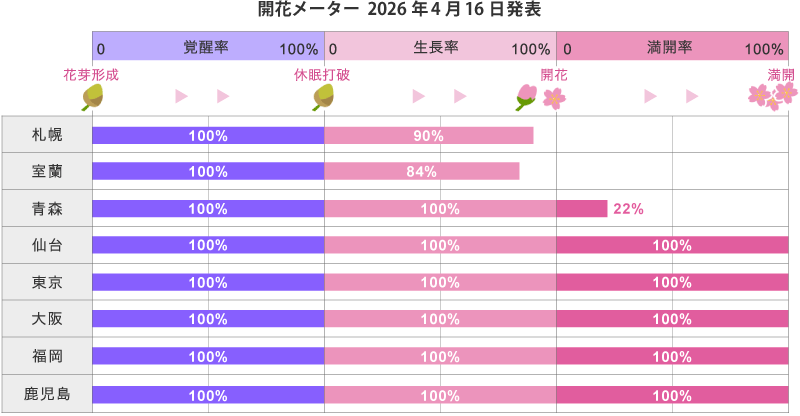 2026年第13回開花メーター