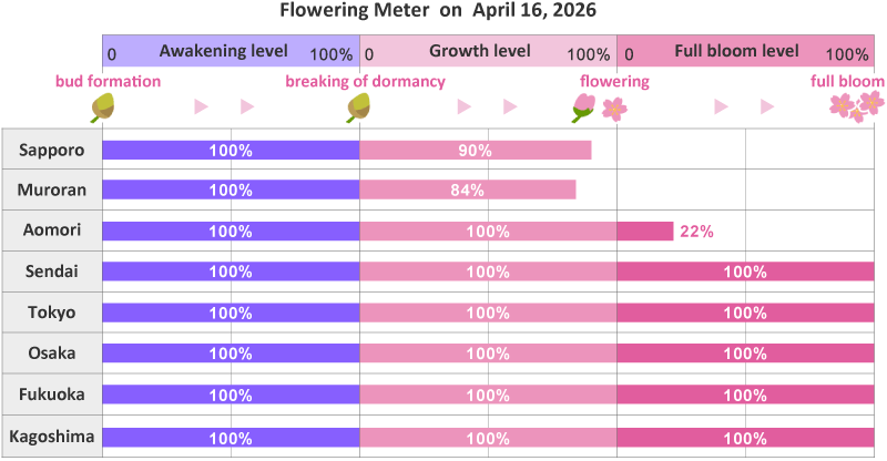 2026年第13th回開花メーター