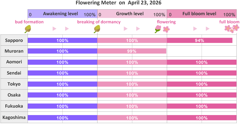 2026年第14th回開花メーター
