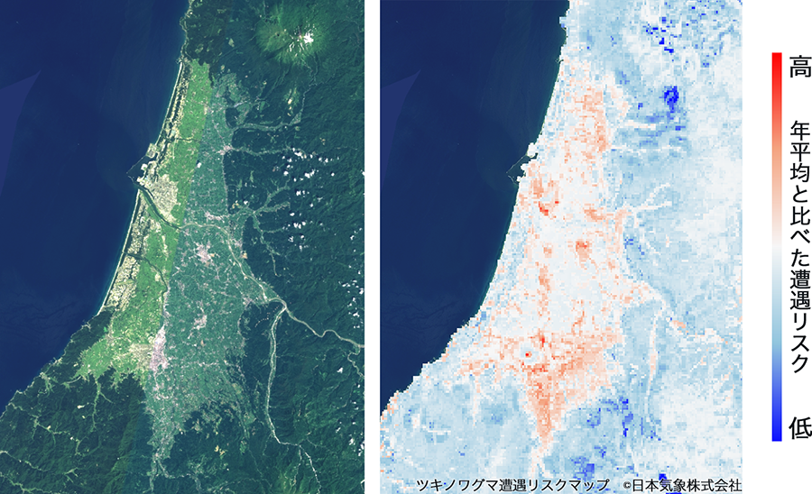 山形県庄内平野のクマ遭遇リスク
