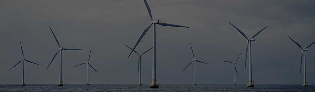 洋上風力発電導入促進に向けた基礎調査事業（日本版セントラル方式）