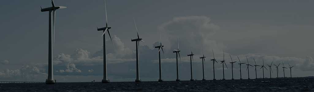 洋上風力発電支援事業