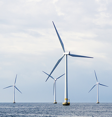 solution 洋上風力発電支援事業