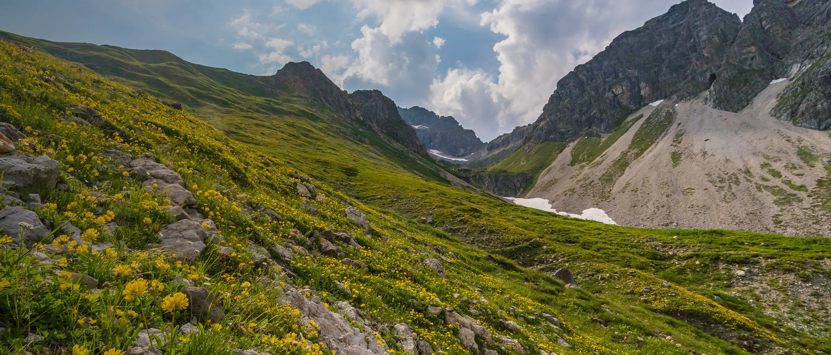 てんきとくらす(てんくら)
