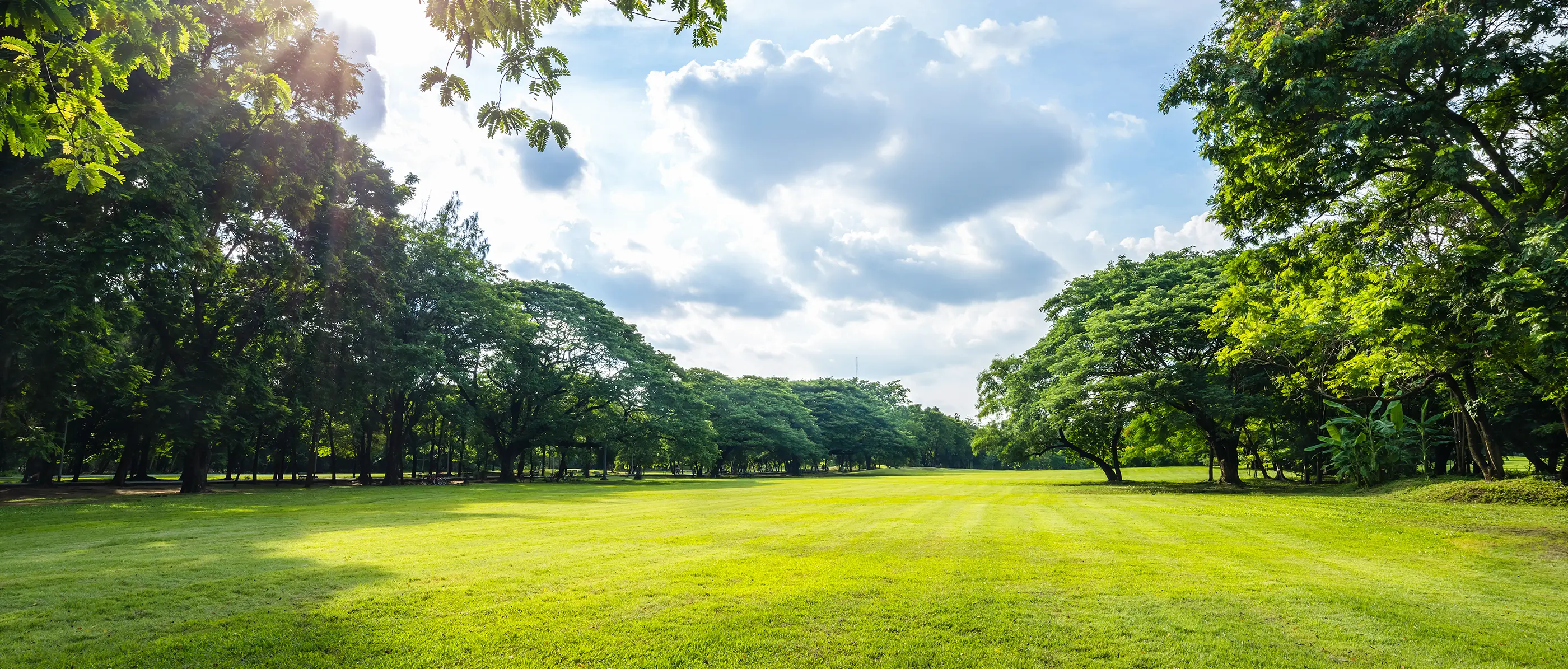 お天気ナビゲータ(天なび)