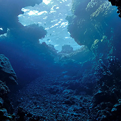 海洋調査・シミュレーション