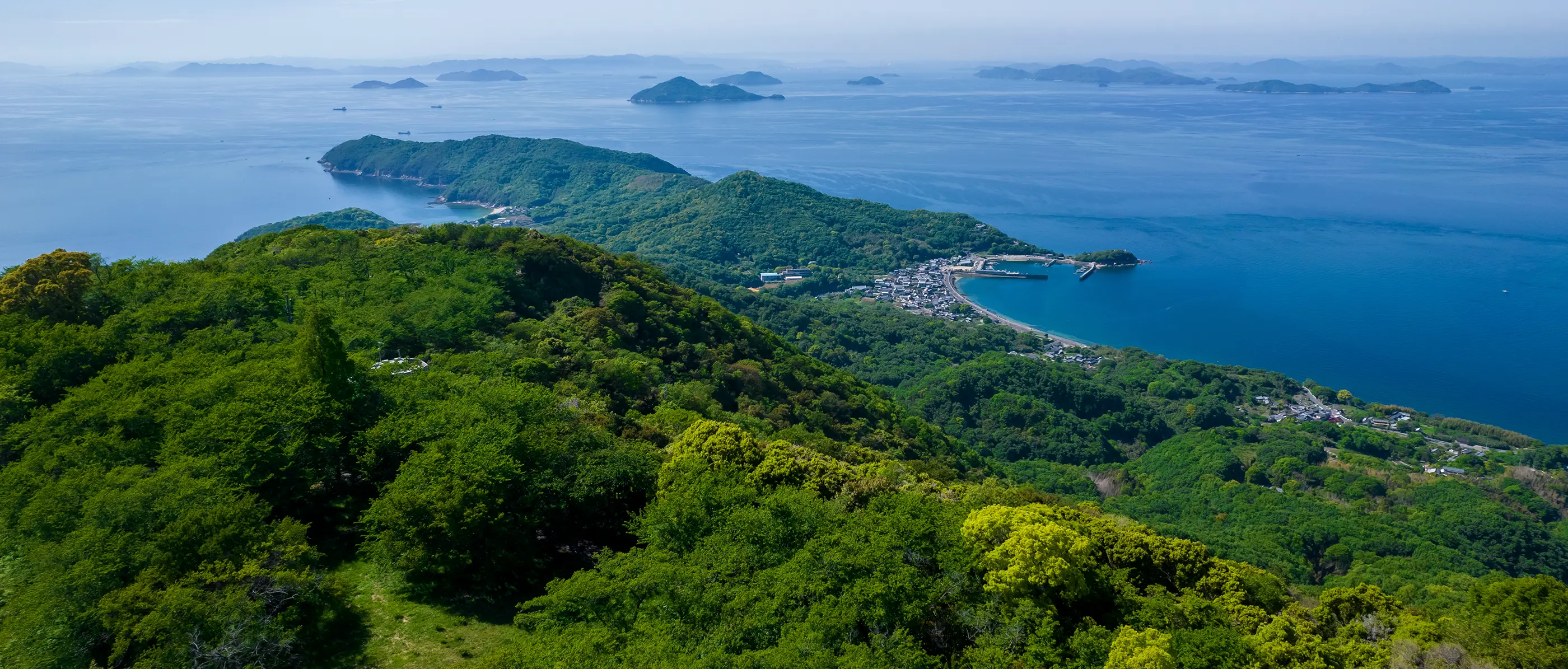 広域風況監視システム