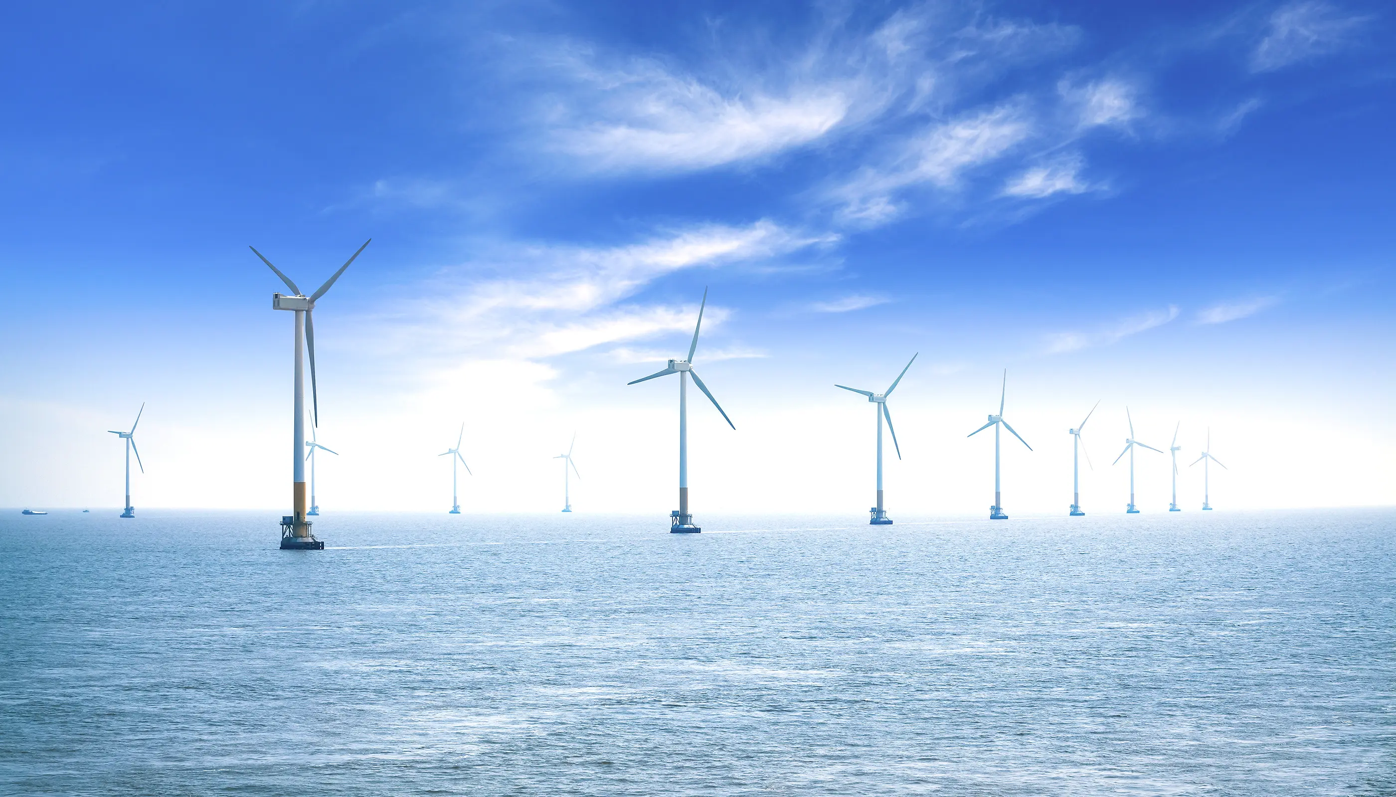 洋上風力発電導入支援リサーチ＆コンサルティング